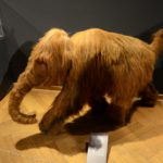 Viena - Museu de História Natural