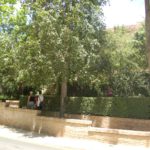 Granada - Alhambra - Paseo del Generalife